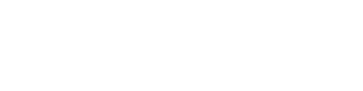 Denmark Technical College